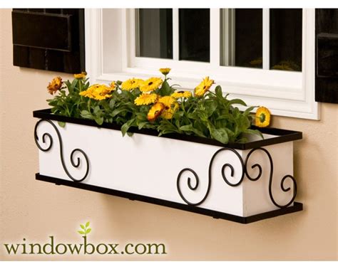 fancy metal scroll window boxes|Windowboxes .